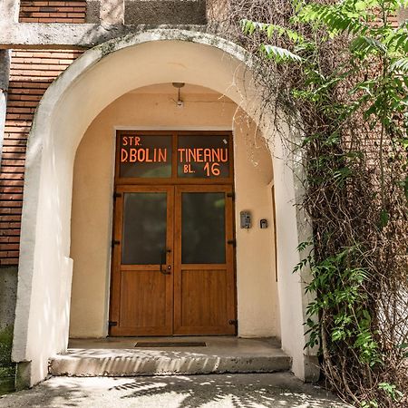 Arad Central Joy - Mihaela Apartment Dış mekan fotoğraf