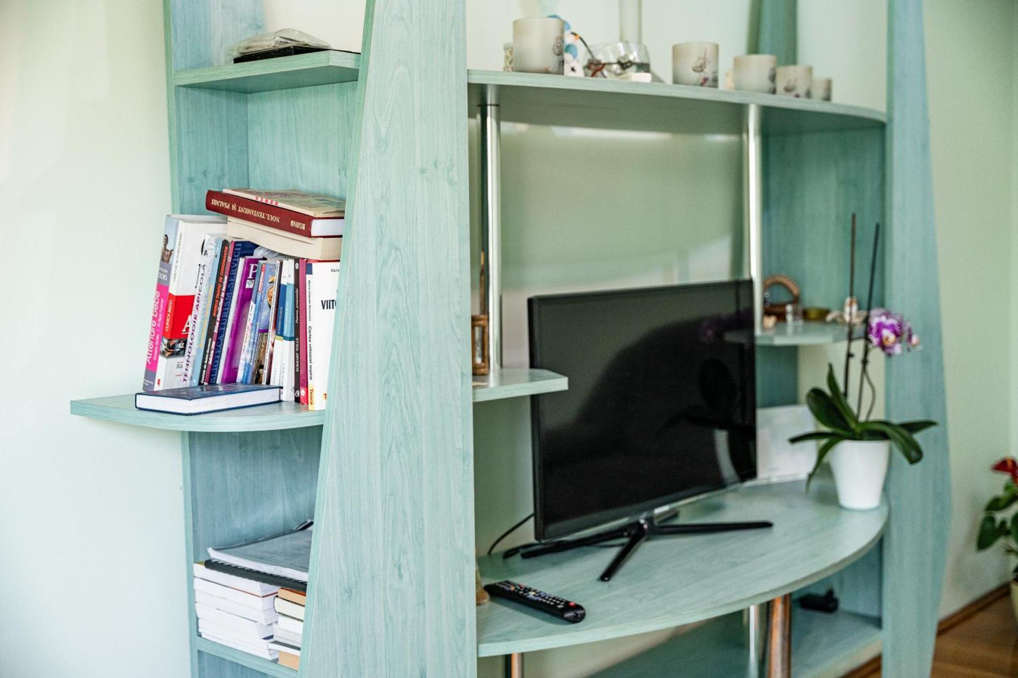 Arad Central Joy - Mihaela Apartment Dış mekan fotoğraf