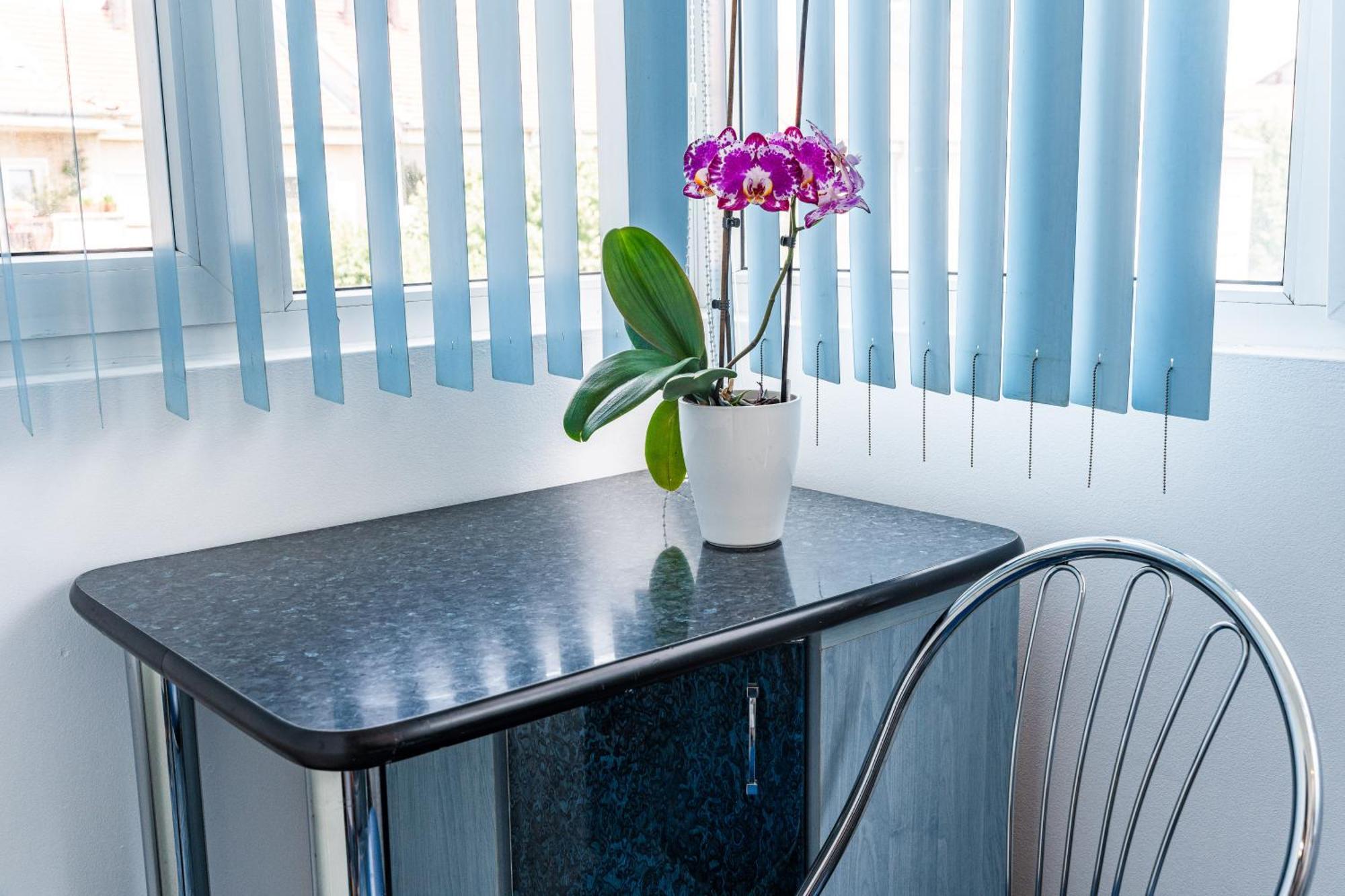 Arad Central Joy - Mihaela Apartment Dış mekan fotoğraf