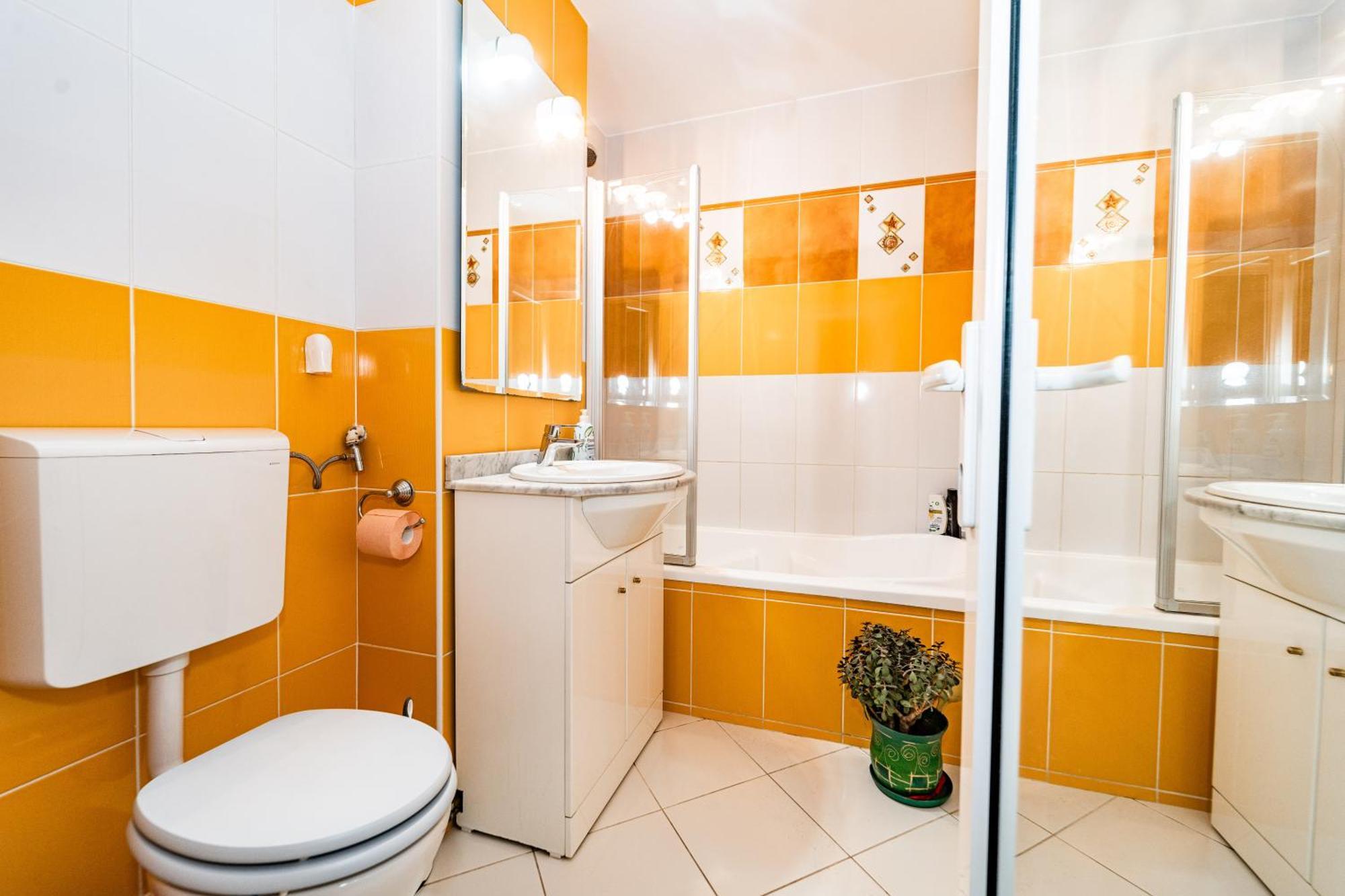Arad Central Joy - Mihaela Apartment Dış mekan fotoğraf